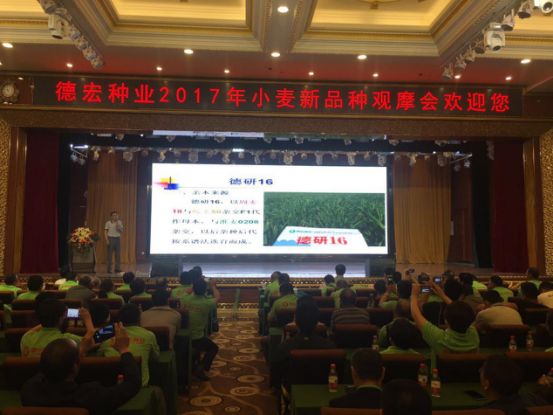 Taptap点点网页批改1089